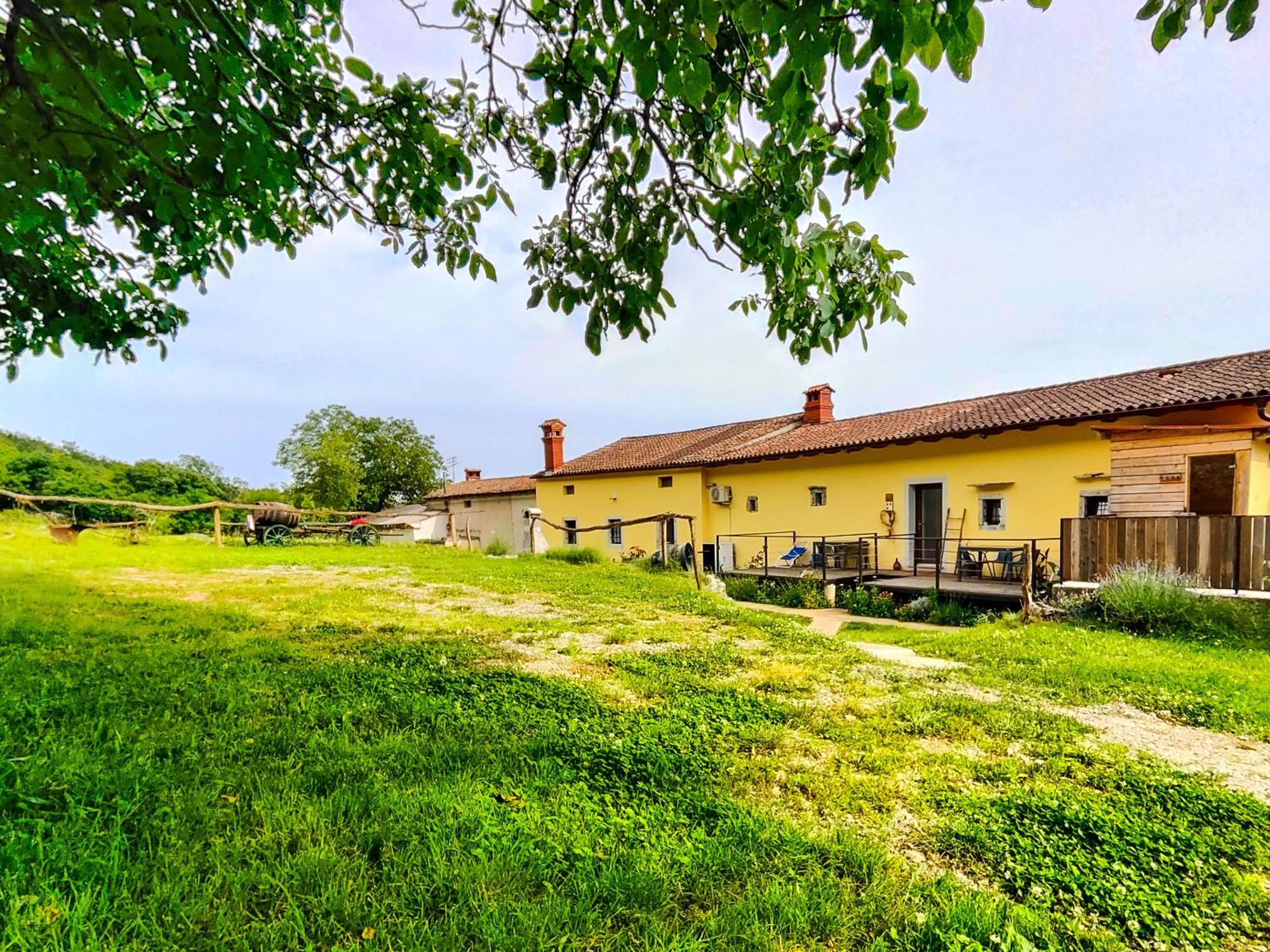 Homestead Zavadlal - Domacija Zavadlal Komen Zewnętrze zdjęcie